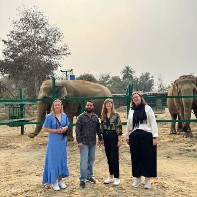 Delhi: Sunrise Taj Mahal & Elephant SOS Tour with Transfers - Key Highlights You’ll Actually Feel on the Day
