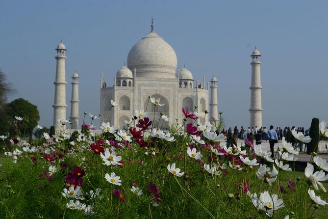 Delhi to Agra and Taj Mahal Private Day Trip by Express Train with Lunch - Taj Mahal at the right pace: VIP bench photo and a guide who keeps you moving