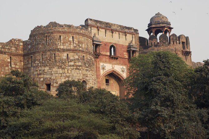 Delhi Zoo White Tigers & lions with Old Fort Visit - Key highlights at a glance