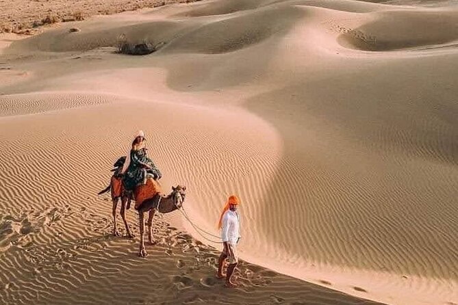 Desert Camel & Jeep Safari Private Tour From Jodhpur - Key things that make this safari worth it