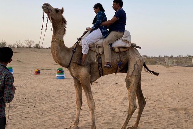Desert Camel & Jeep Safari Private Tour From Jodhpur - Private tour value: what you’re really paying for at $50