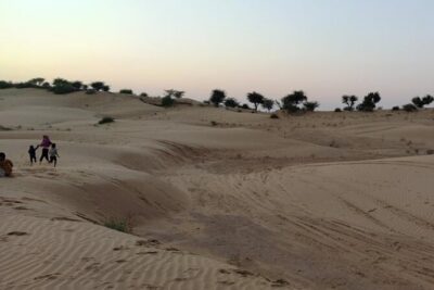 Desert Camel & Jeep Safari Private Tour From Jodhpur - Camel safari in the Thar: the peak experience, with realistic expectations