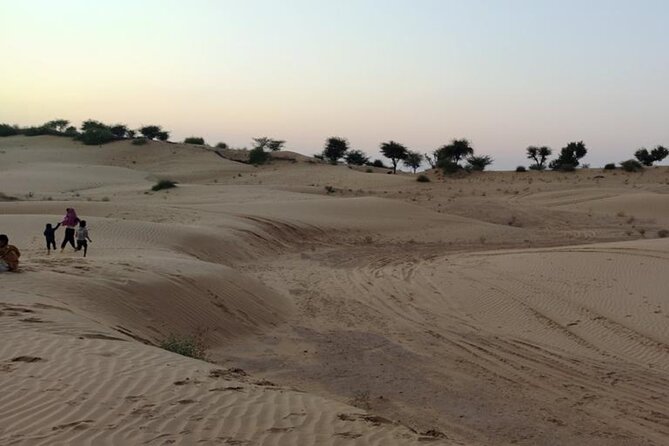 Desert Camel & Jeep Safari Private Tour From Jodhpur - Camel safari in the Thar: the peak experience, with realistic expectations