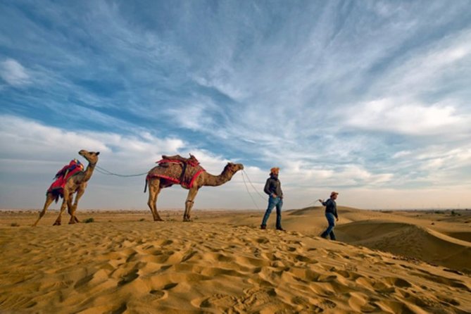 Desert Camel Safari Day Tour In Jodhpur - Key things I’d zero in on