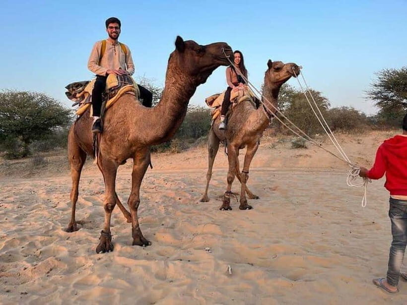 Desert Camel Safari Day Trip From Jodhpur - Key highlights you’ll actually feel