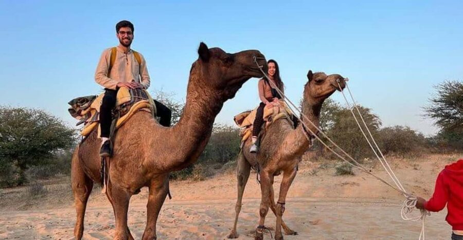 Desert Camel Safari Day Trip From Jodhpur - Who should book this desert camel safari from Jodhpur