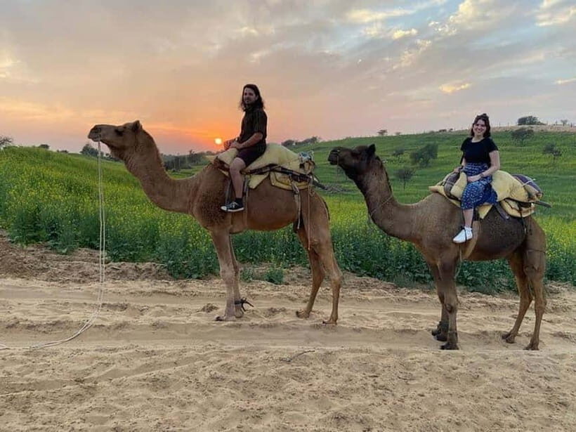 Desert Camel Safari Day Trip From Jodhpur - Jodhpur to Osian: the sweet spot for a Thar Desert taste
