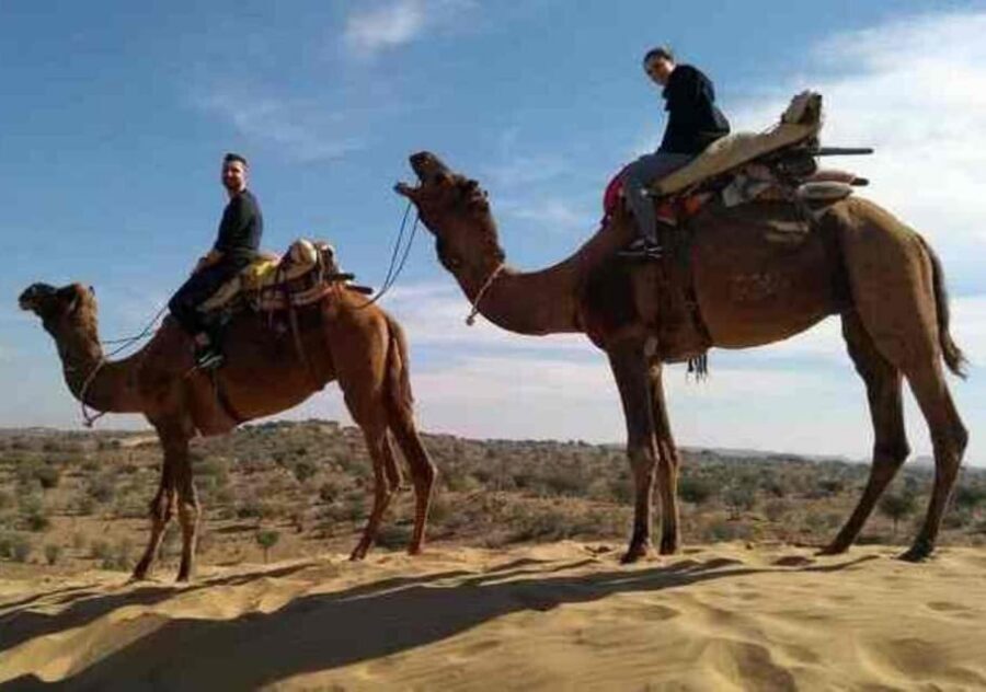 Desert Camel Safari Day Trip From Jodhpur - What to bring for a late-afternoon desert ride