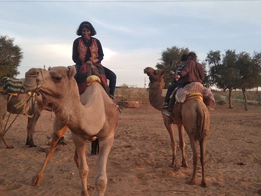 Desert Jeep Safari & Camel Safari Tour From Jodhpur - Osian’s Sachiya Mata Temple Stop: Quick, Un-Guided, and Worth the Stretch