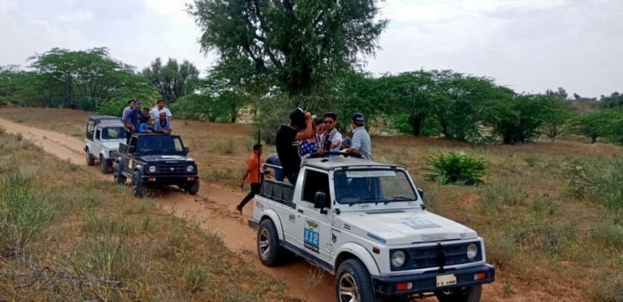 Desert Jeep Safari & Camel Safari Tour From Jodhpur - Jeep Safari Timing: The 45 Minutes That Feel Like Real Rajasthan Adventure