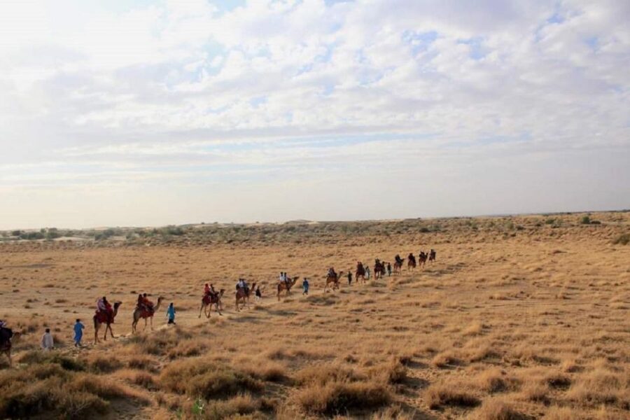 Desert Rose Jaisalmer: Overnight Stay Middle of Thar Desert - FAQ