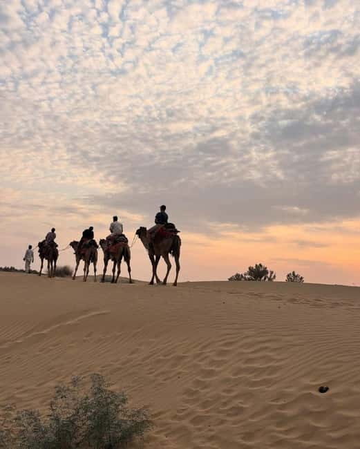 Desert Rose Jaisalmer: Overnight Stay Middle of Thar Desert - A two-day Thar Desert overnight that starts right from your Jaisalmer pickup