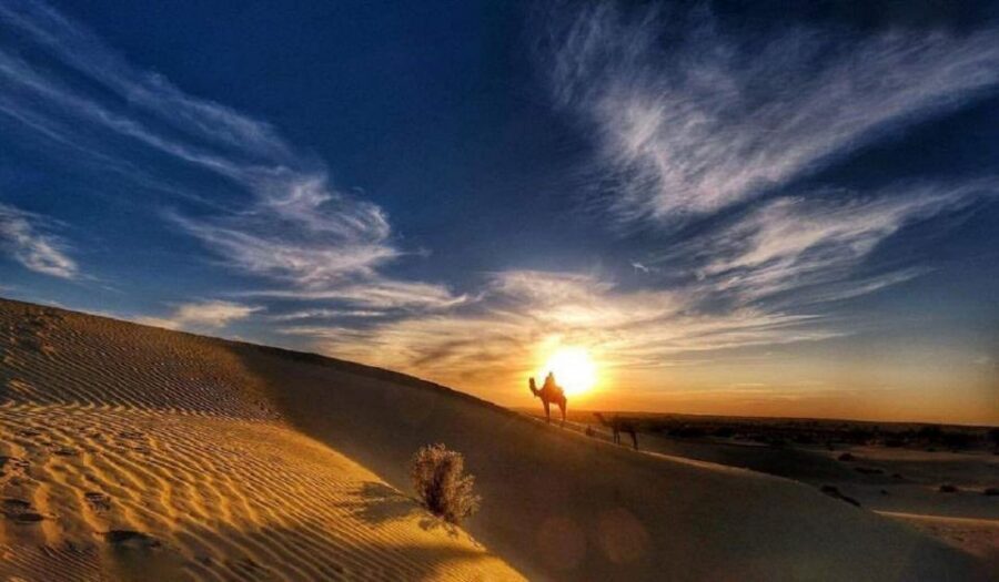 Desert Rose Jaisalmer: Overnight Stay Middle of Thar Desert - Desert National Park and the first camel ride into the dunes