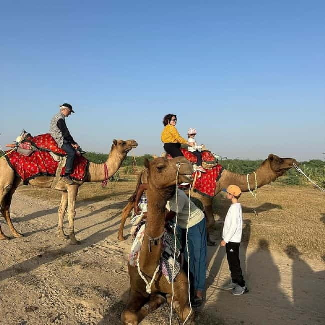 Desert Rose Jaisalmer: Overnight Stay Middle of Thar Desert - Should you book Desert Rose Jaisalmer’s overnight Thar Desert safari?