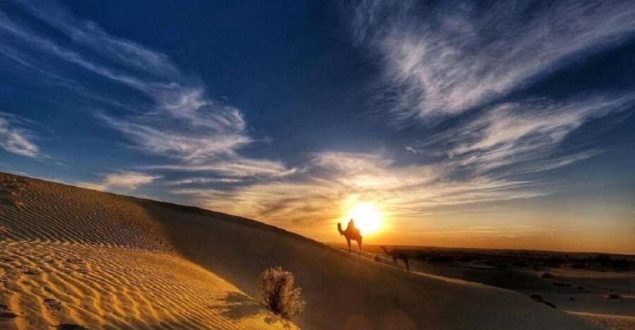 Desert Rose Jaisalmer: Overnight Stay Middle of Thar Desert - Kuldhara Abandoned Village: a guided stop with real atmosphere