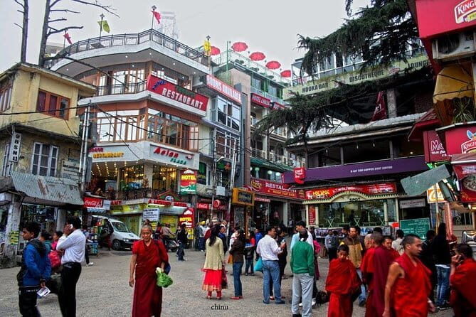 Dharamshala: Full Day Customizable City Sightseeing Tour - Key things that make this Dharamshala day work