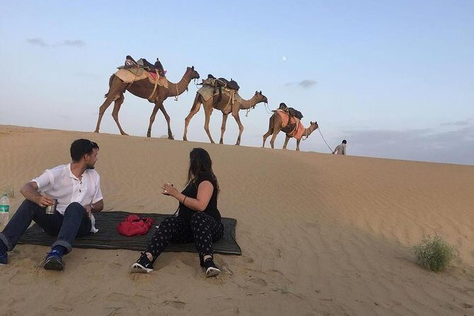 Dinner on the Dunes & Camel Safari - Key things that make this tour worth a look