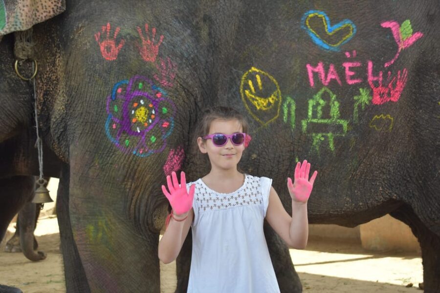 Elefun Best Elephant Sanctuary in Jaipur - Walking Without Rides: Ethical Engagement You Can Actually See