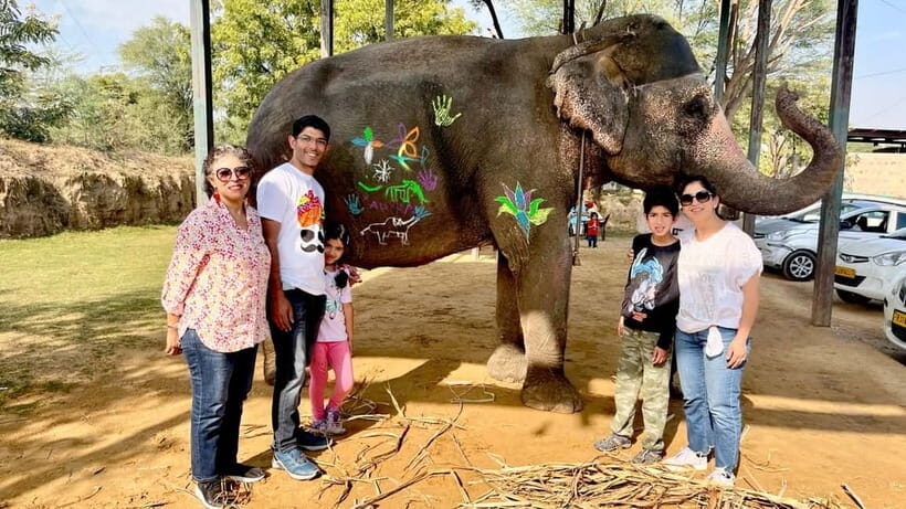 Elefun Best Elephant Sanctuary in Jaipur - Elephant Washing and Shower: Seasonal, So Pack Smart