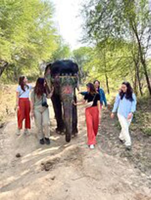 Elephant Sanctuary for Best elephant experience in Jaipur - Key highlights worth marking on your day