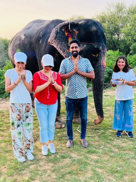Elephant Sanctuary for Best elephant experience in Jaipur - Entering the sanctuary: eco-friendly habitat logic and rescue care