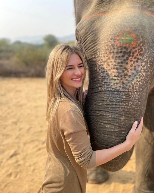 Elephant Sanctuary for Best elephant experience in Jaipur - Your elephant encounter: feeding, pampering, hugging, and walking