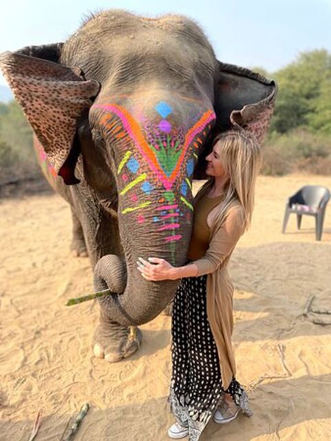 Elephant Sanctuary for Best elephant experience in Jaipur - Who should book this sanctuary day (and who should skip it)