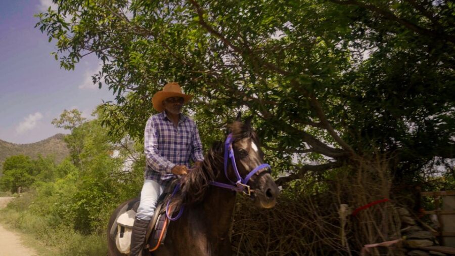 Equestrian Escape: Horse Safari Adventure - Key highlights worth circling