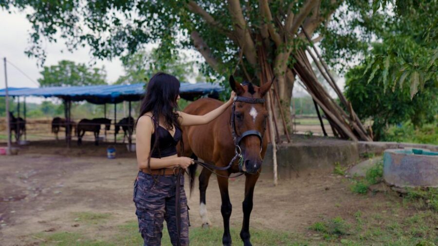 Equestrian Escape: Horse Safari Adventure - Should You Book Equestrian Escape: Horse Safari Adventure?