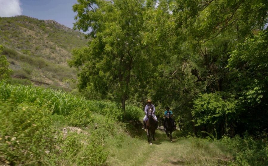 Equestrian Escape: Horse Safari Adventure - A Horse Ranch Reset in Udaipur’s Countryside