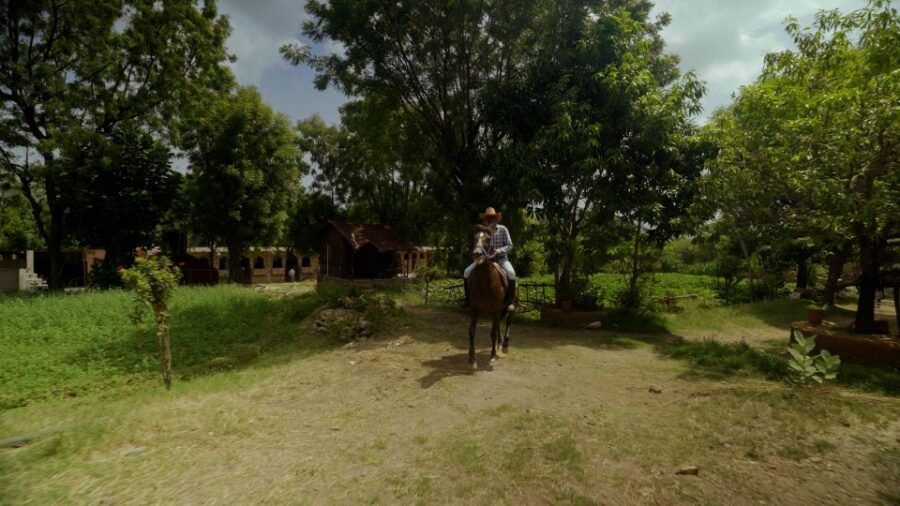 Equestrian Escape: Horse Safari Adventure - Riding Lessons with a Marwari Equestrian