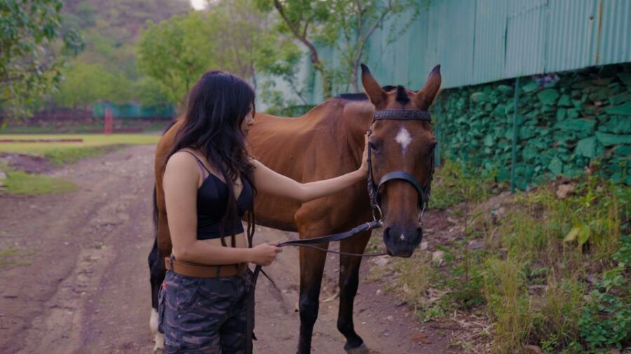 Equestrian Escape: Horse Safari Adventure - The Trail Ride and That Off-the-Radar Feeling
