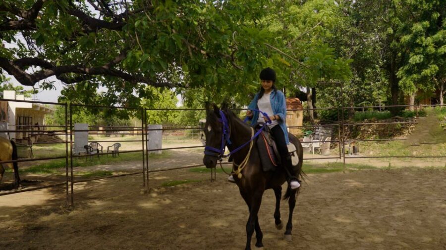 Equestrian Escape: Horse Safari Adventure - Learning About Maharana Pratap’s Horse