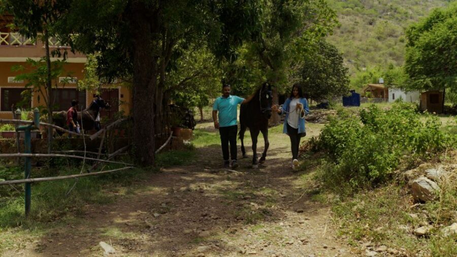 Equestrian Escape: Horse Safari Adventure - Price and Logistics: What You’re Really Paying For