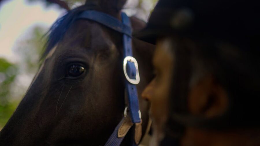 Equestrian Escape: Horse Safari Adventure - Who This Is For (and Who Might Feel Restless)