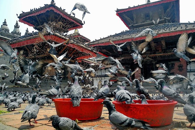 Essence of magnificent India and Nepal - Price and value: where your $580 goes