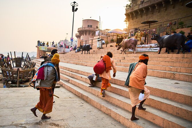 Essence of magnificent India and Nepal - Jaipur and Agra: palaces, forts, and the Taj at sunrise