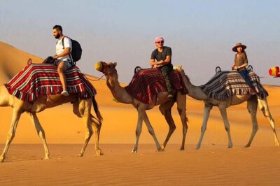 Exclusive 1-day Jaisalmer Tour with High End SUV. - Jaisalmer Fort: the big skyline moment you can’t skip