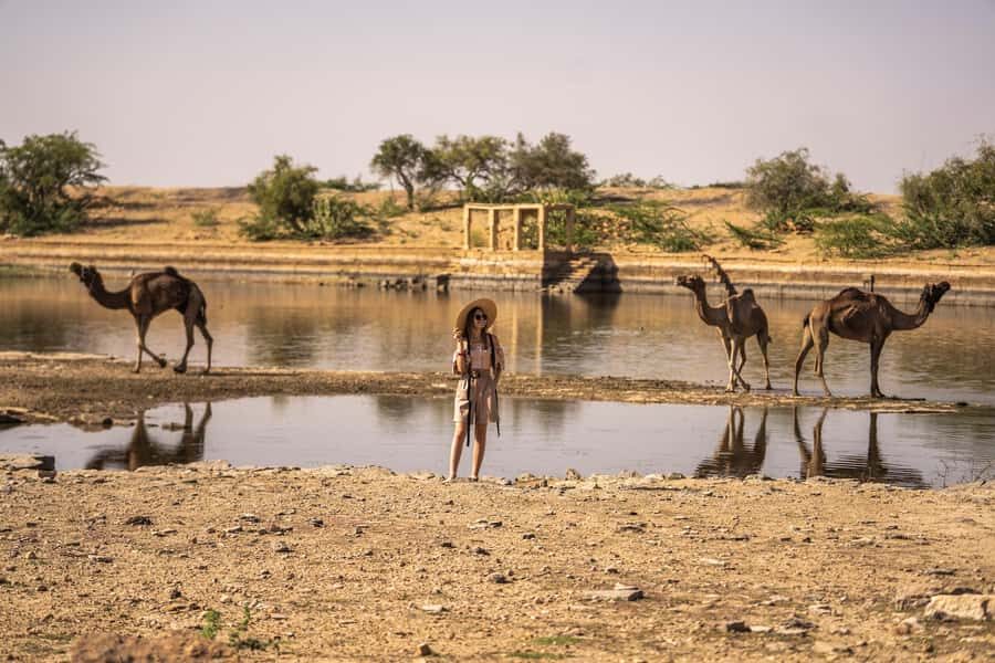 Exclusive Musical Evening at Desert Luxury Camp (NO CAMEL) - Jaisalmer to the Thar: Why This Evening Feels Designed