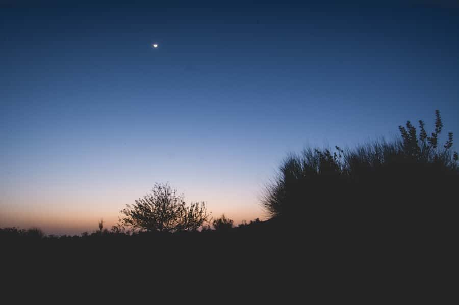 Exclusive Musical Evening at Desert Luxury Camp (NO CAMEL) - Jeep Safari on Thar Sand: How the 4X4 Ride Changes the Sunset Experience