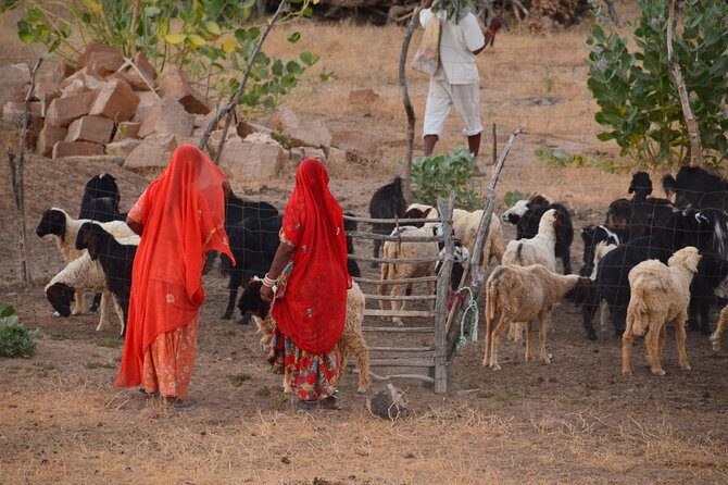 Experience Authentic Desert Villages & Sunset Camel Safari - Key highlights you’ll care about