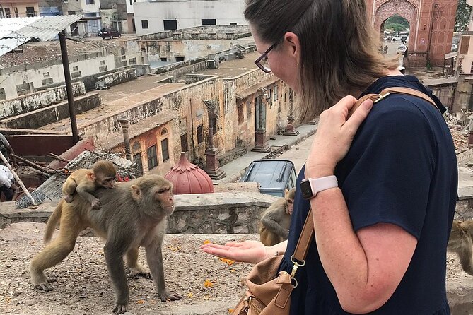 Explore Jaipur in a Tuk Tuk - Monkey Temple (Galta Ji): Hills, Sacred Tanks, and Yes, Monkeys