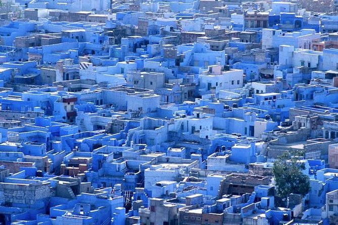 Explore Jodhpur City With Three Wheeler Tuk Tuk - Three-wheeler tuk tuk in Jodhpur: the ride style that makes this day work
