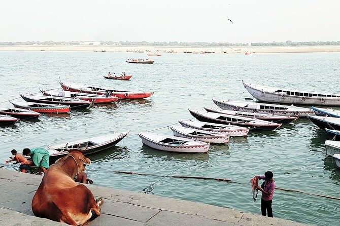 Explore the Highlights of Varanasi - Getting oriented on the ghats and backstreets