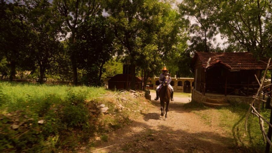 Farm to Table: With a local farmer family - The Neem-Tree Meal: Eating Together the Right Way