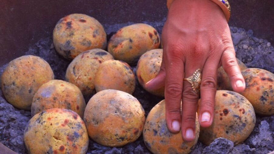 Farm to Table: With a local farmer family - Price and Time: Is $21 for 2 Hours Good Value?