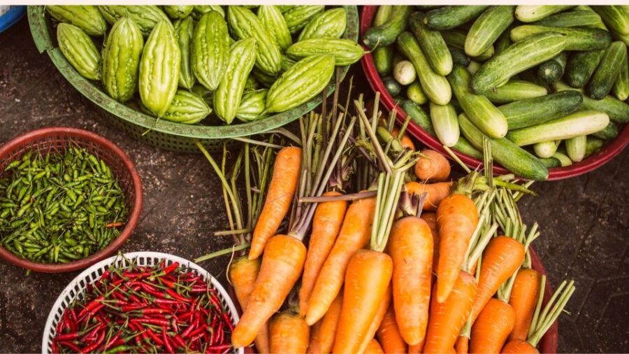 Farm to Table: With a local farmer family - Getting There from Udaipur: The One Logistics Issue