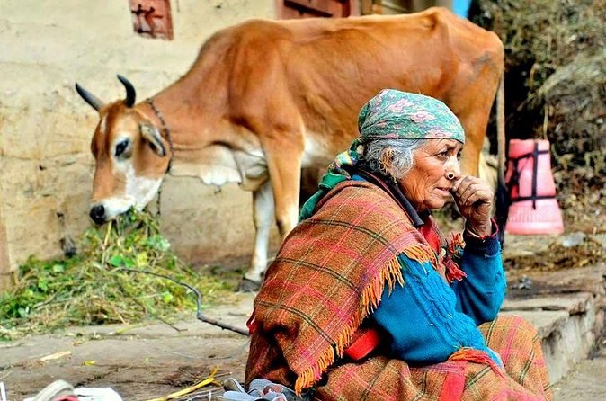 Food Tour With Cooking Class in Local Village from Delhi - Who This Tour Suits Best (and Who Should Rethink It)