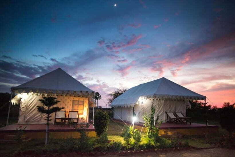 Frenzy Paradise Overnight Thar Desert Camping Tour - Key Things I’d Watch for Before You Go