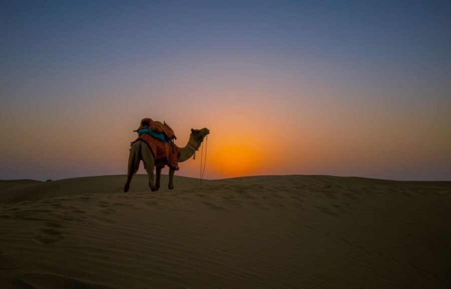 Frenzy Paradise Overnight Thar Desert Camping Tour - Rajasthani Desert Camping: The Real Point of This 2-Day Escape